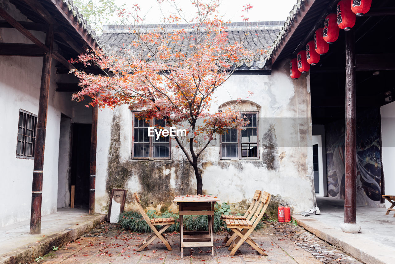 empty chairs and tables in yard