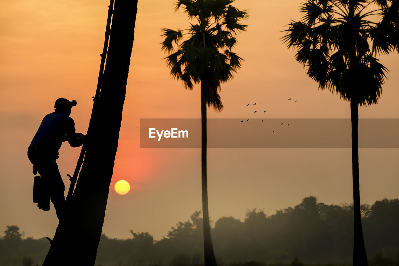 Silhouette man and palm trees against sky during sunset