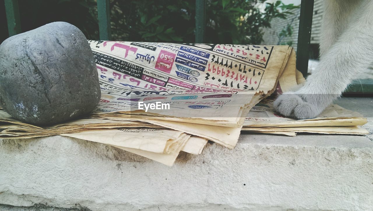 Close-up of cat paw on newspaper 