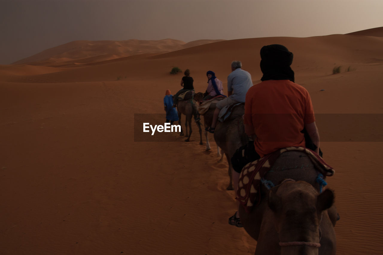 Rear view of people riding camels at desert