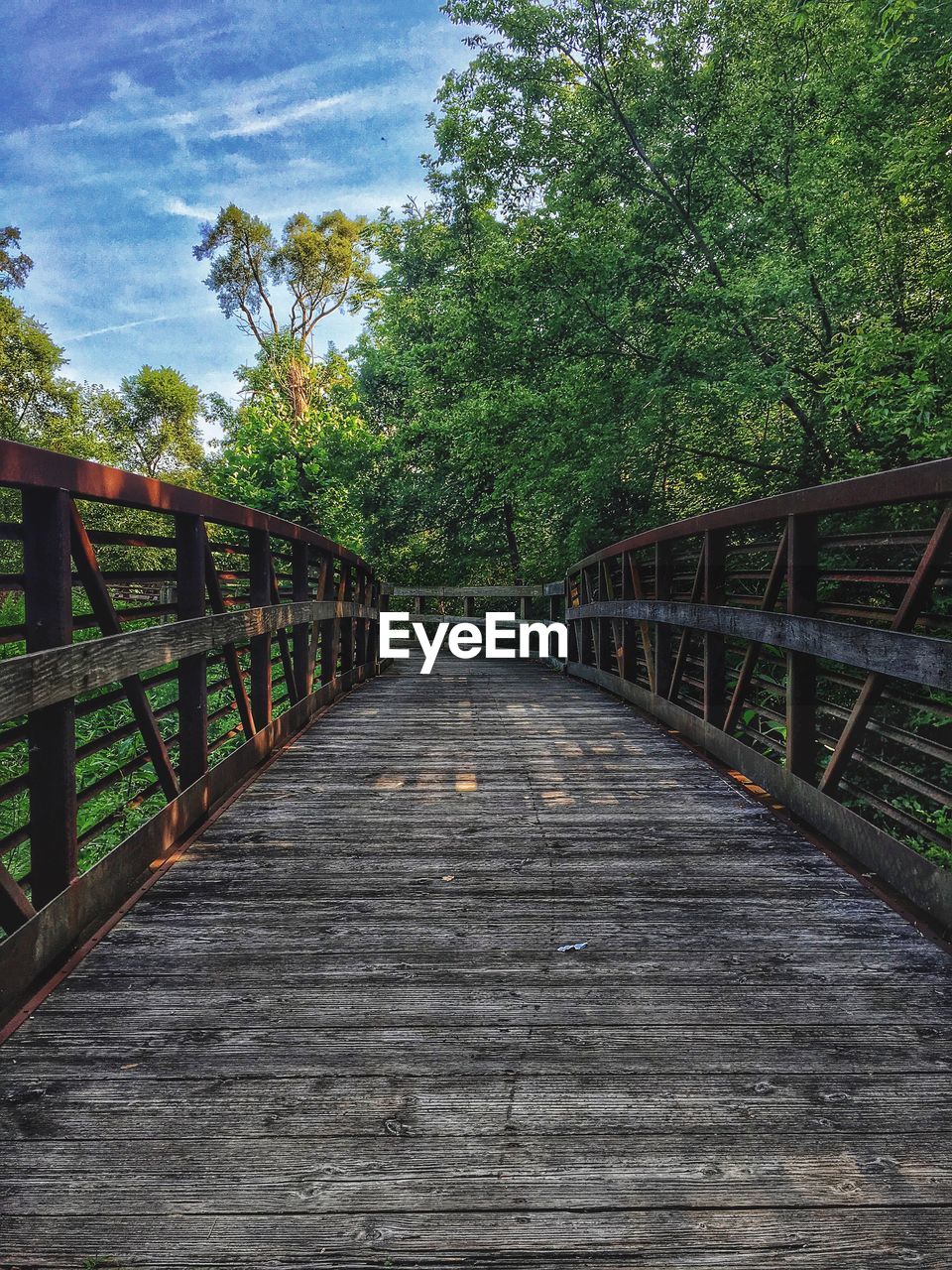 Empty wooden bridge amidst trees in park