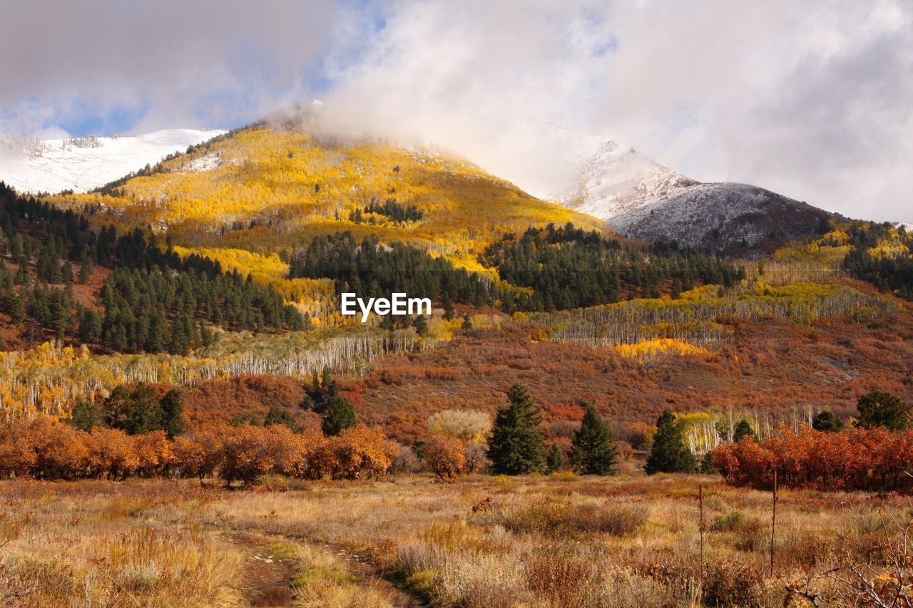 Scenic view of field against sky during autumn