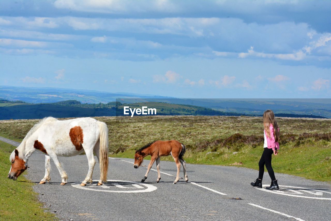 Girl walking on a road with horses