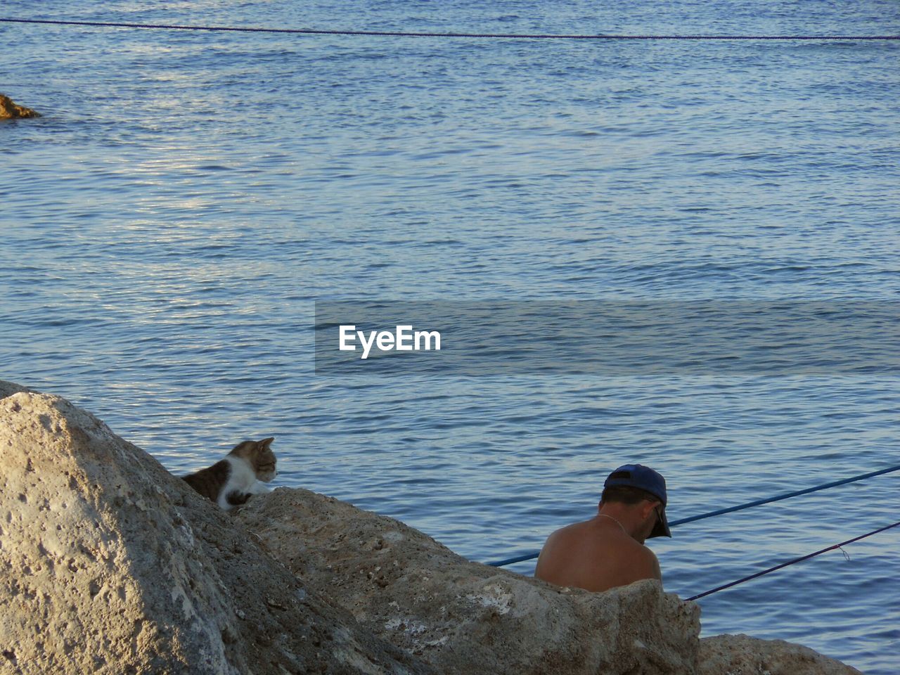 HIGH ANGLE VIEW OF SEAGULLS ON SEA