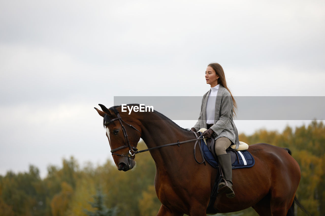 rear view of man riding horse on field against sky