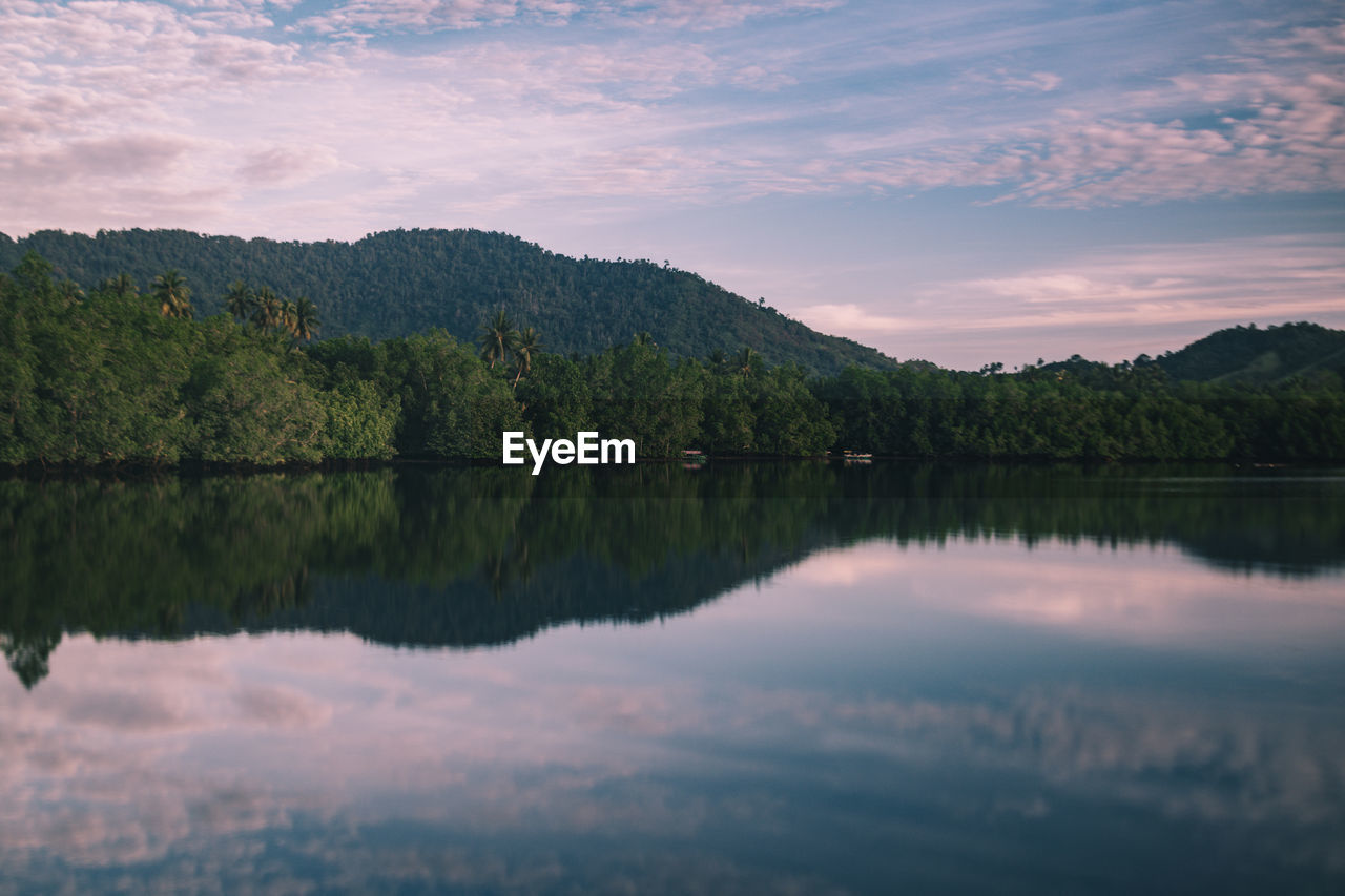 Scenic view of lake by trees against sky