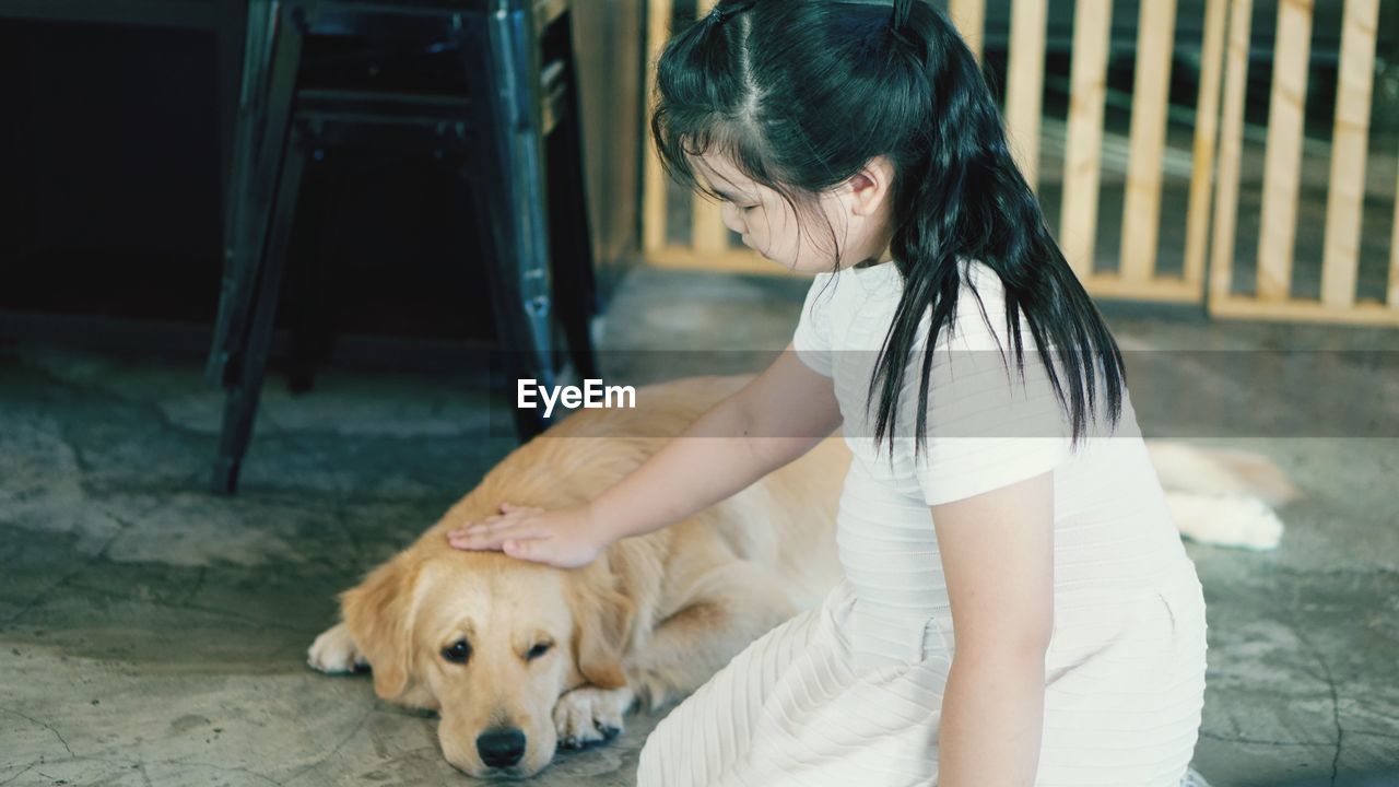 Side view of girl petting retriever dog while kneeling on floor