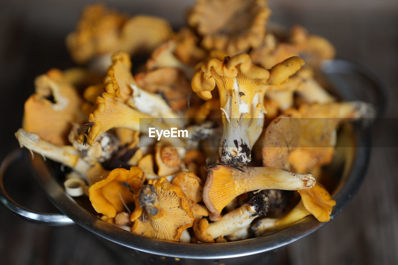 Mushrooms, chanterelles