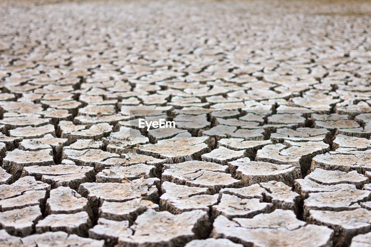 FULL FRAME SHOT OF CRACKED GROUND