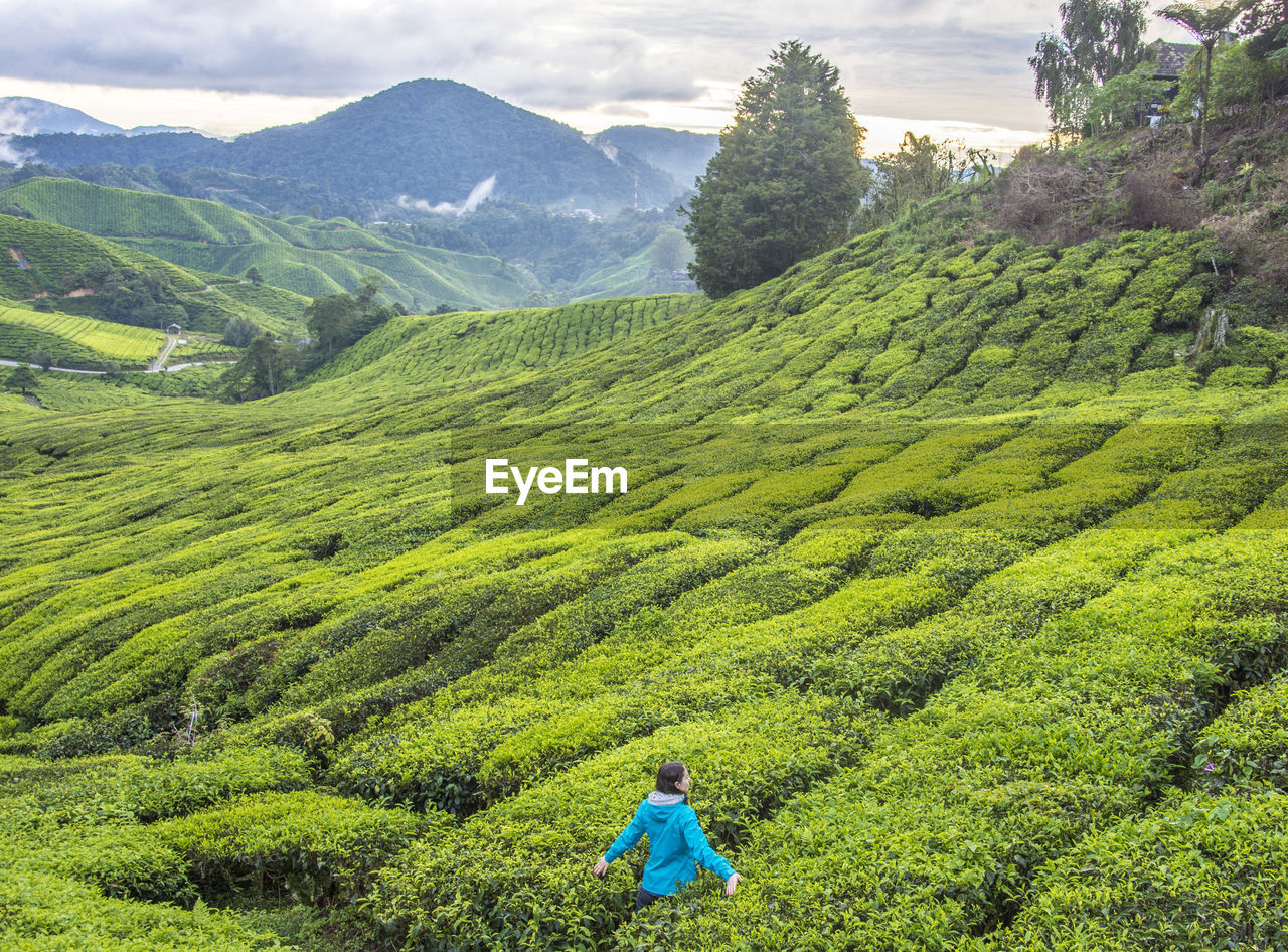 Woman standing at tea plantation