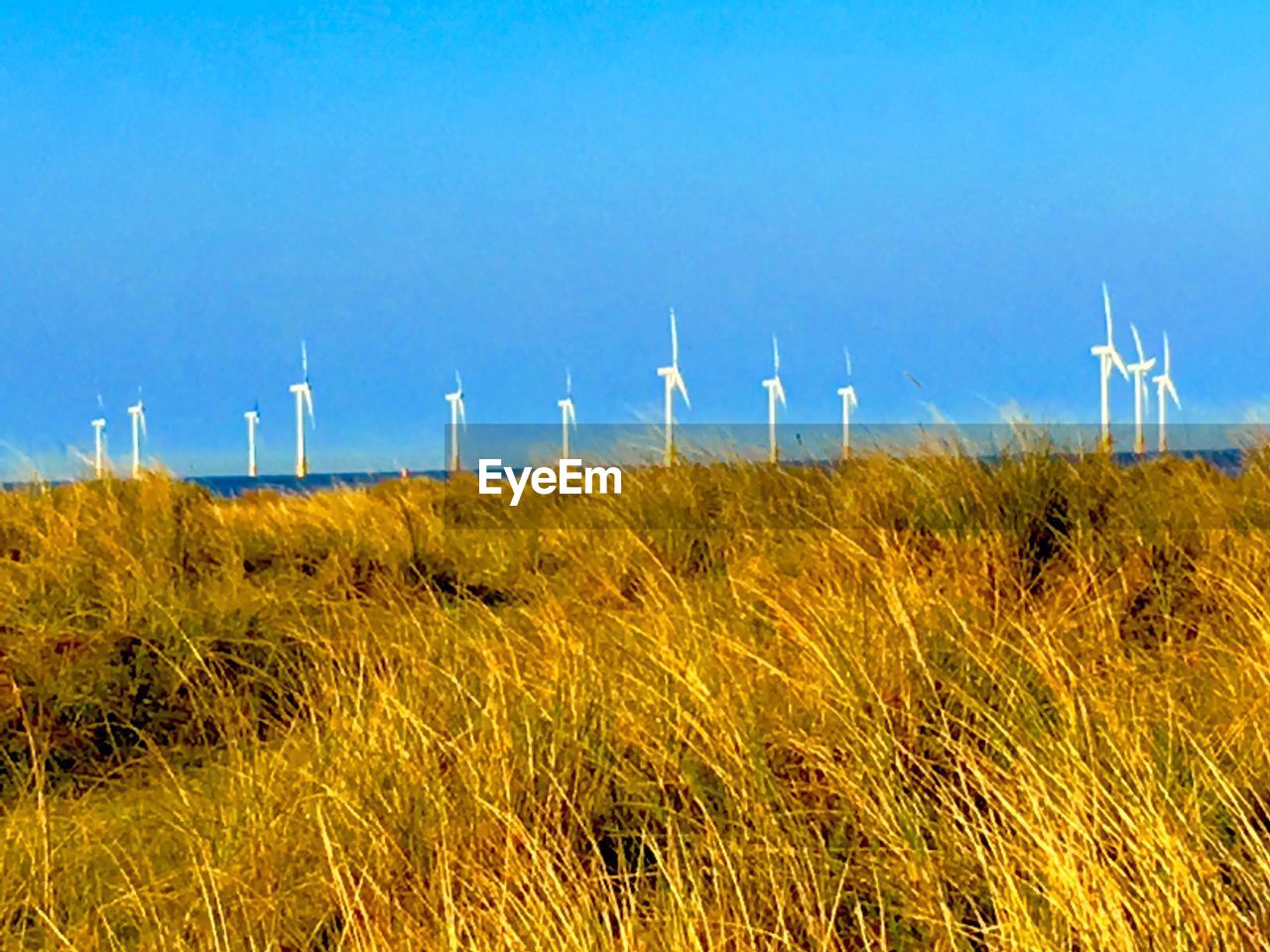 WIND TURBINES IN FIELD