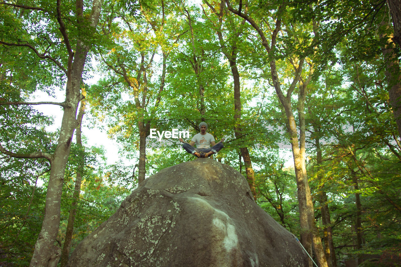 Low angle view of man sitting on rock in forest