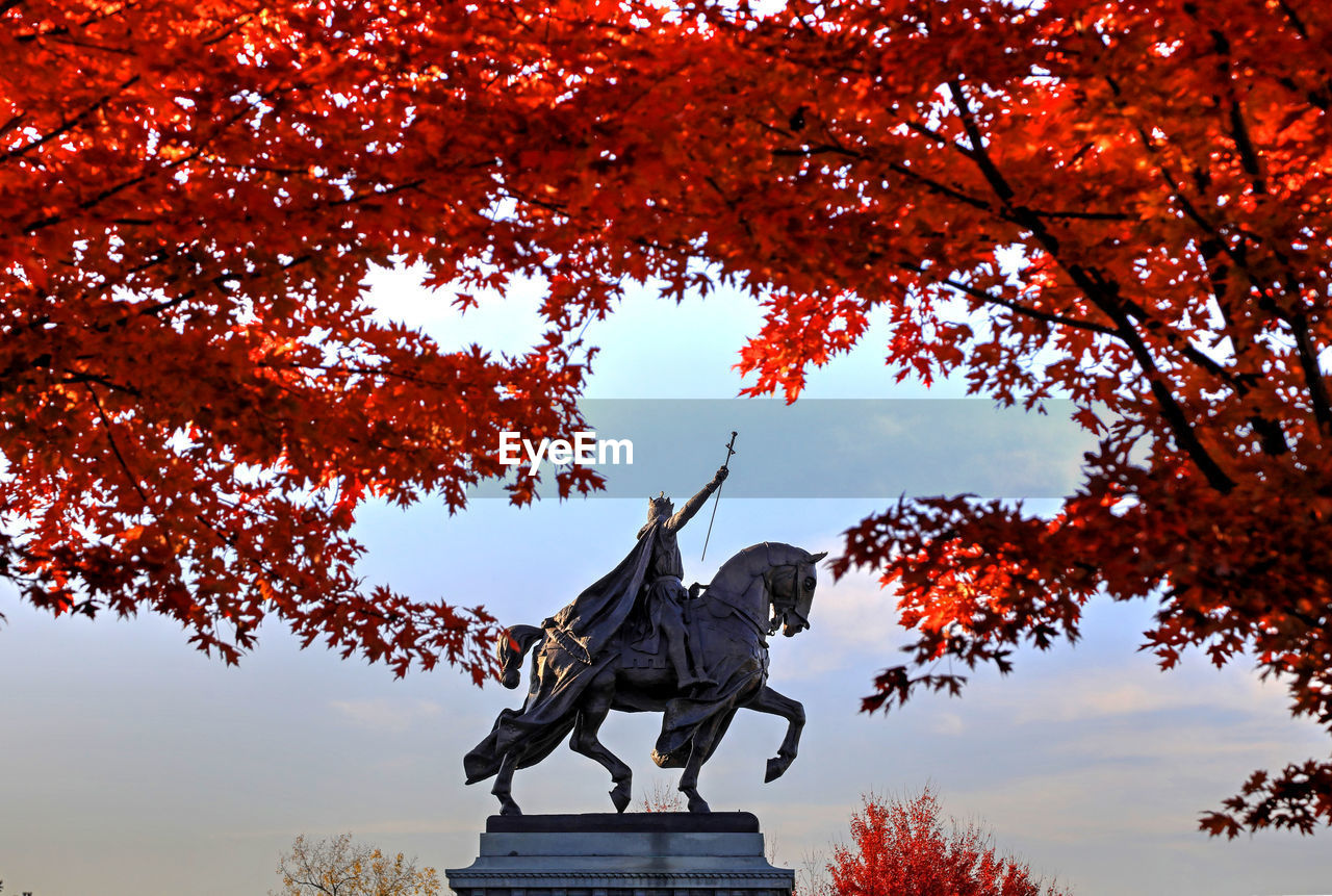 LOW ANGLE VIEW OF STATUE BY TREES AGAINST SKY