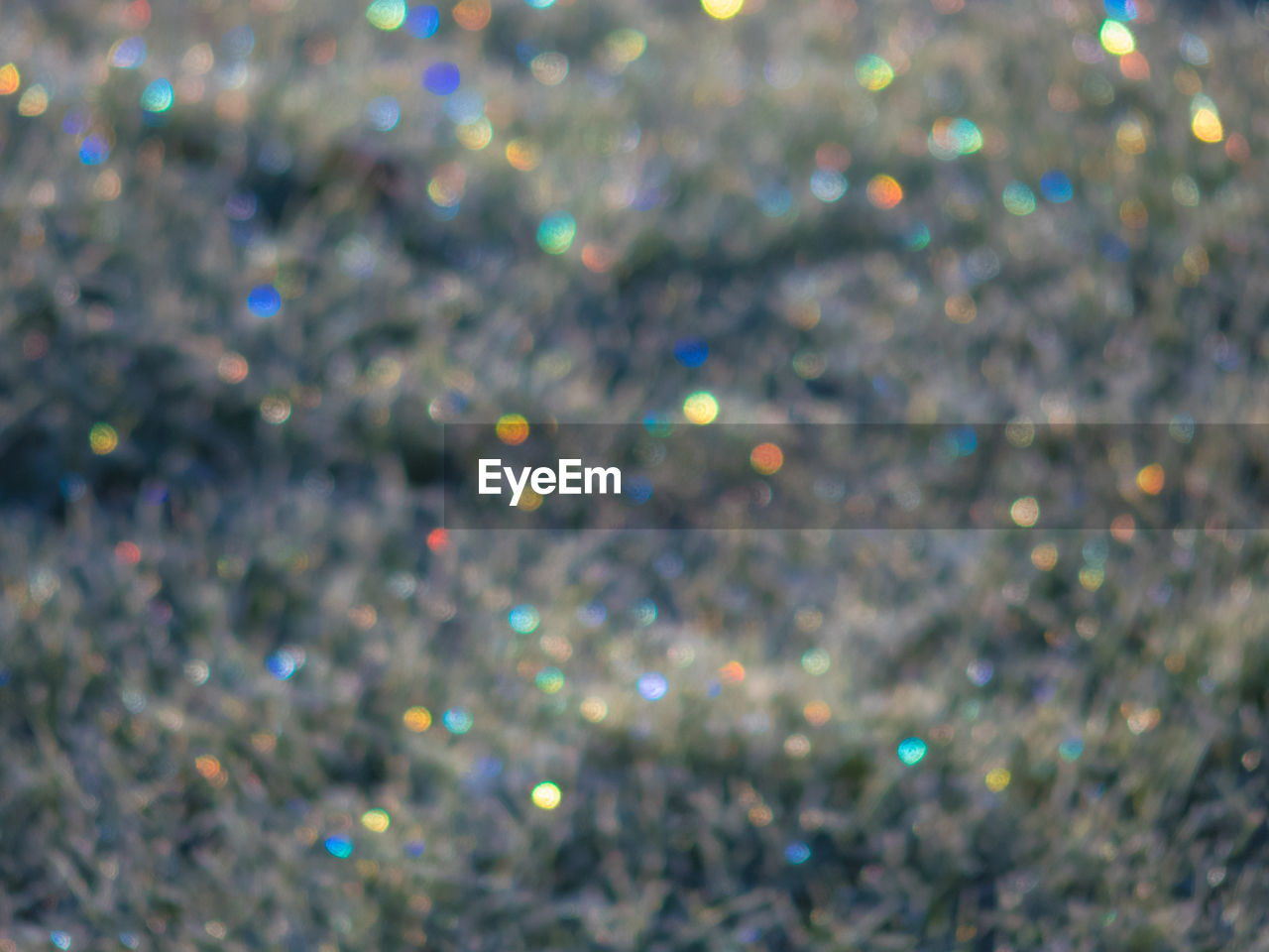 DEFOCUSED LIGHTS