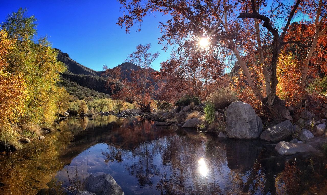 Scenic view of lake and trees against sky at dusk during autumn