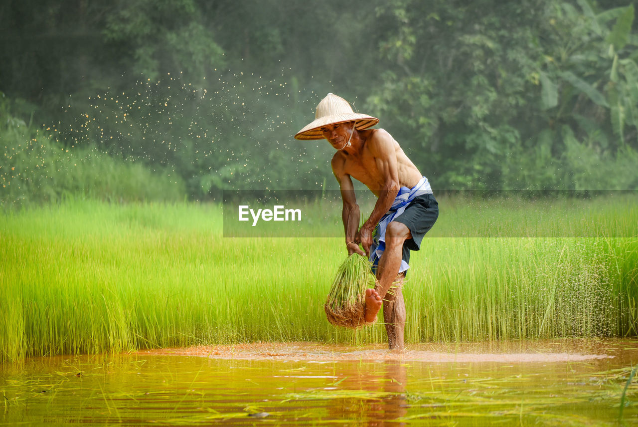 Shirtless man farming in water on field