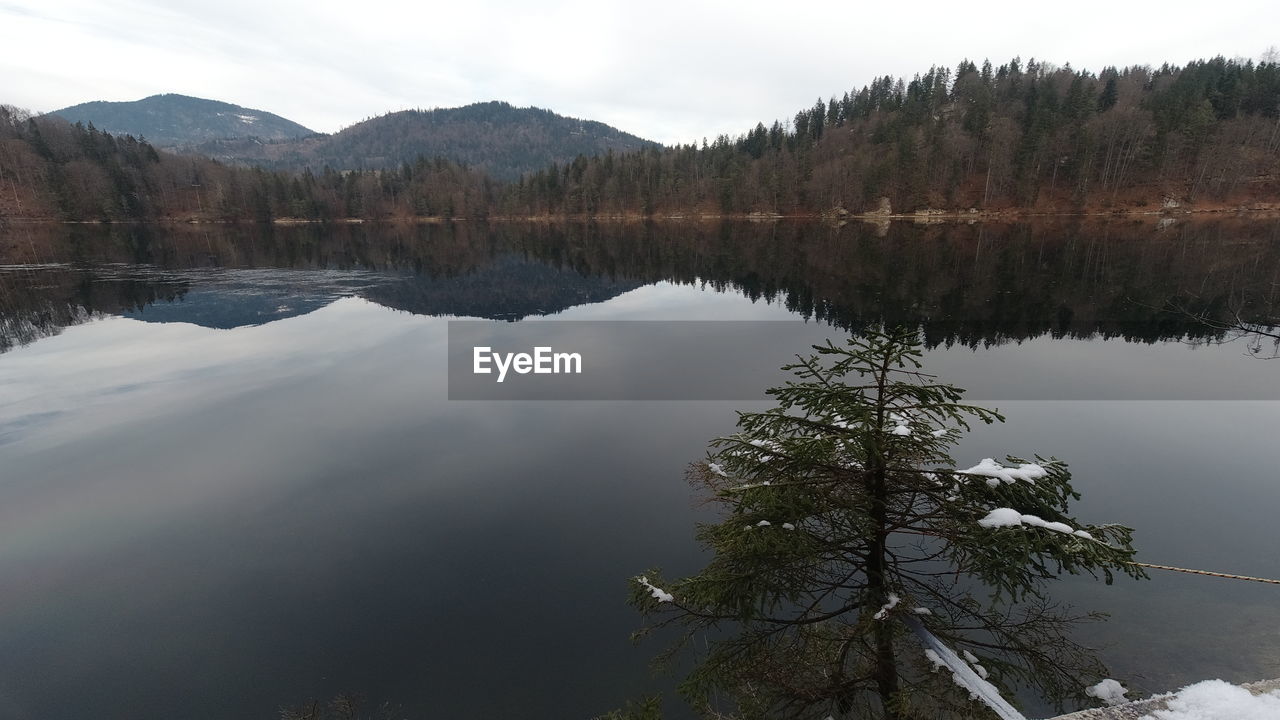 water, reflection, lake, tree, scenics - nature, wilderness, beauty in nature, mountain, tranquility, tranquil scene, nature, plant, sky, forest, environment, landscape, body of water, reservoir, no people, coniferous tree, land, pine tree, pinaceae, travel destinations, non-urban scene, pine woodland, travel, outdoors, cloud, tourism, day, mountain range, snow, idyllic, fog, woodland, reflection lake, winter