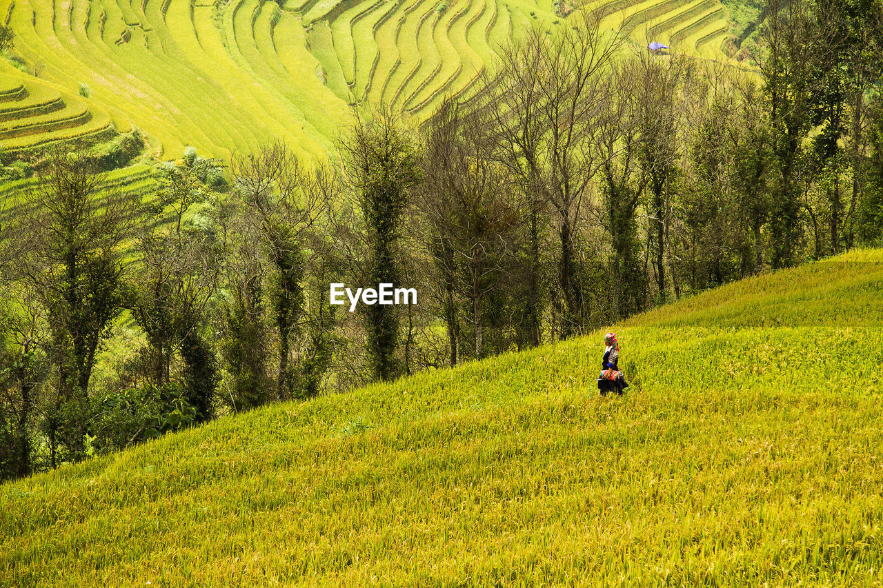 MAN RIDING ON GRASSY FIELD