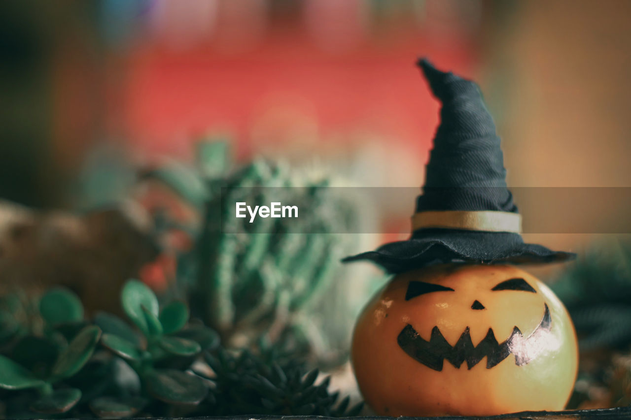 Close-up of pumpkin on leaf