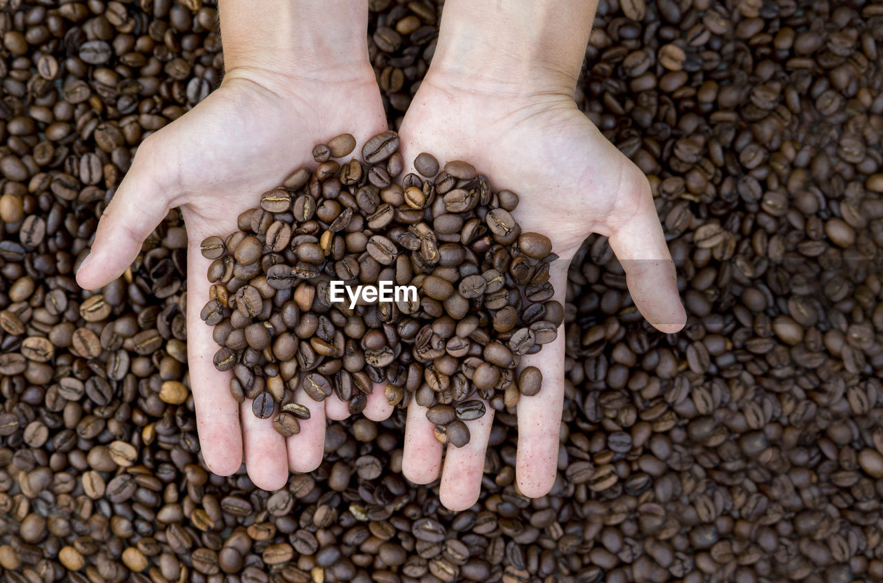 Copped hands of woman holding coffee beans