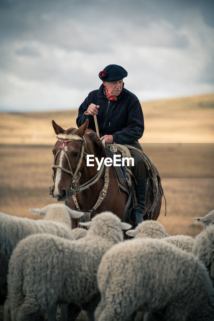 Mature man with sheep riding horse on land
