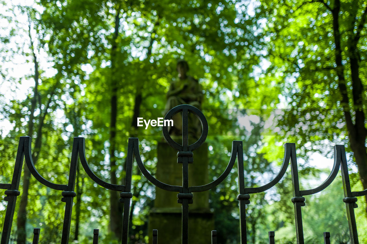 Low angle view of gate against trees in park