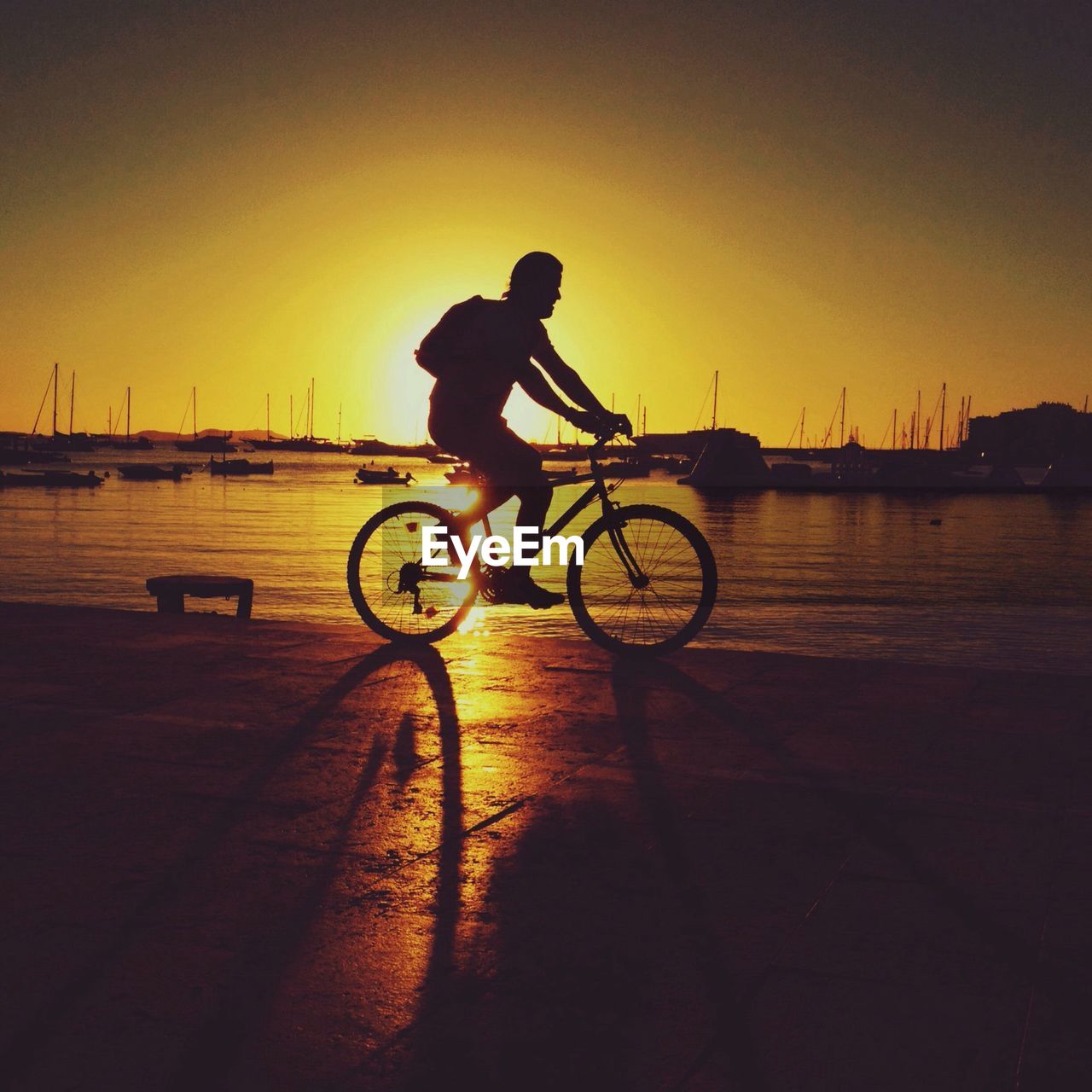 Man riding bicycle at sunset