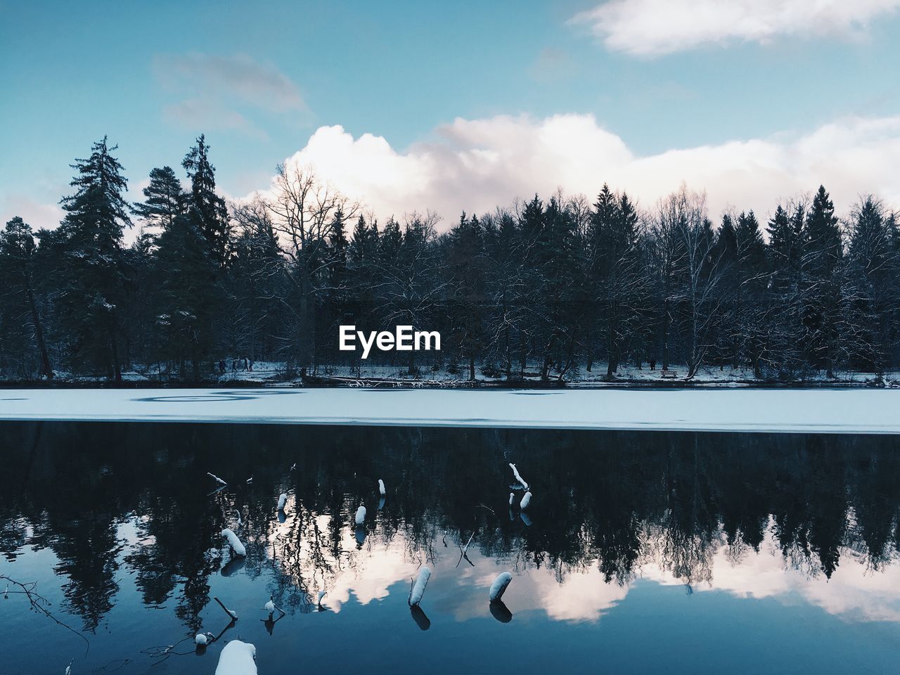 Scenic view of lake against trees during winter