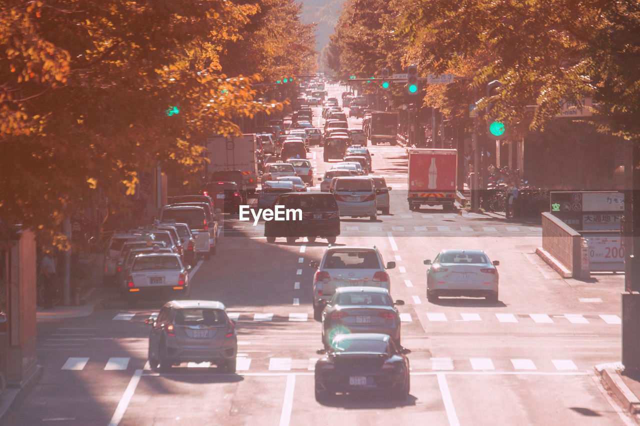 VEHICLES ON ROAD IN CITY