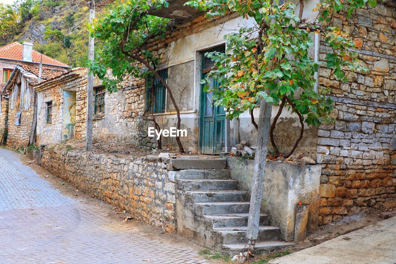 EXTERIOR OF BUILDING BY TREE