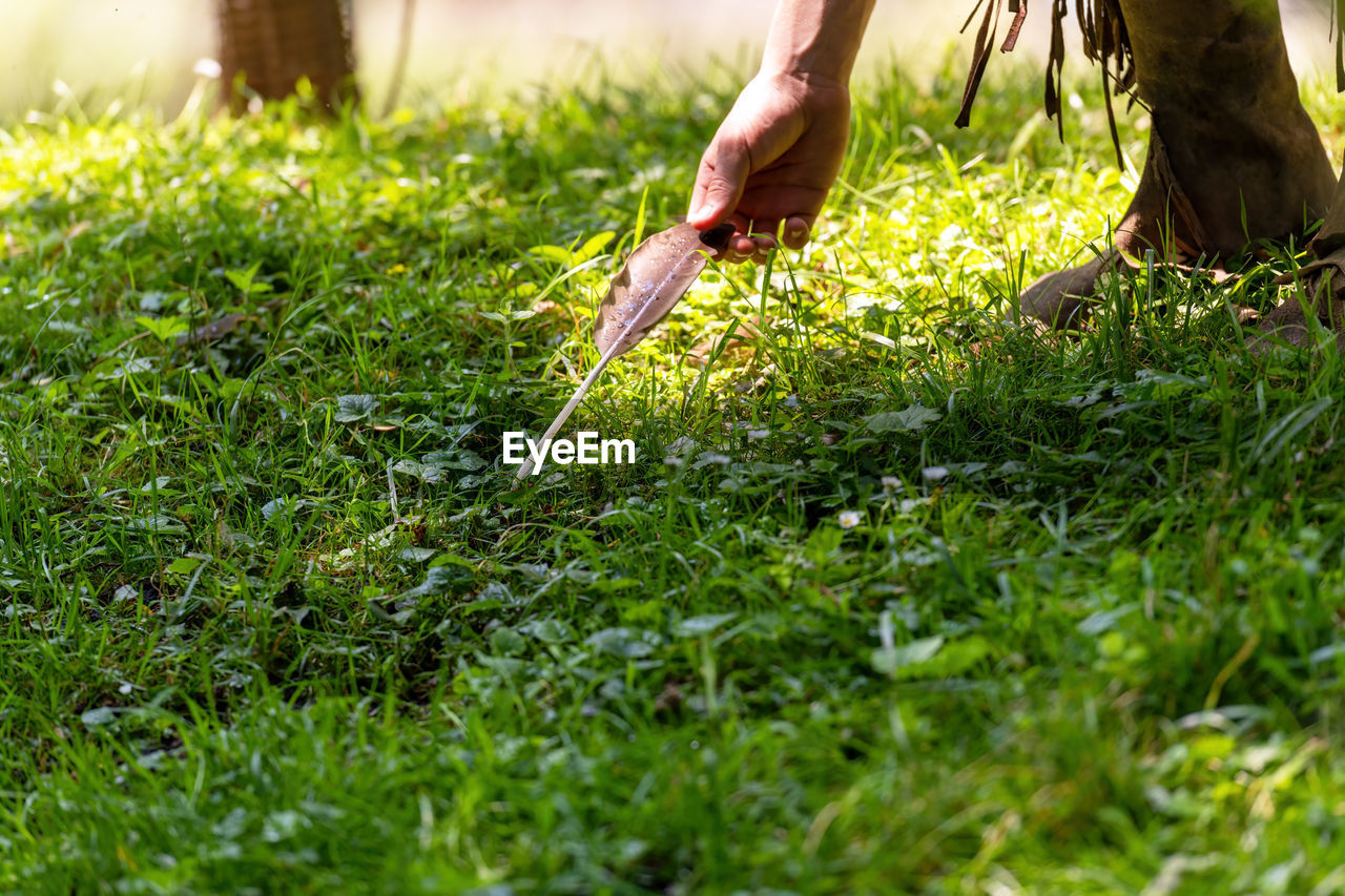 green, grass, lawn, plant, one person, nature, meadow, flower, leaf, adult, hand, tree, land, day, soil, occupation, growth, men, selective focus, outdoors, field, sunlight, lifestyles, natural environment, working, agriculture, environment, freshness, gardening, low section, limb, holding, rural scene, food and drink, human limb, food, organic, landscape