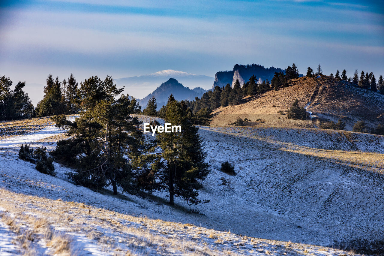 SCENIC VIEW OF SNOWCAPPED LANDSCAPE AGAINST SKY