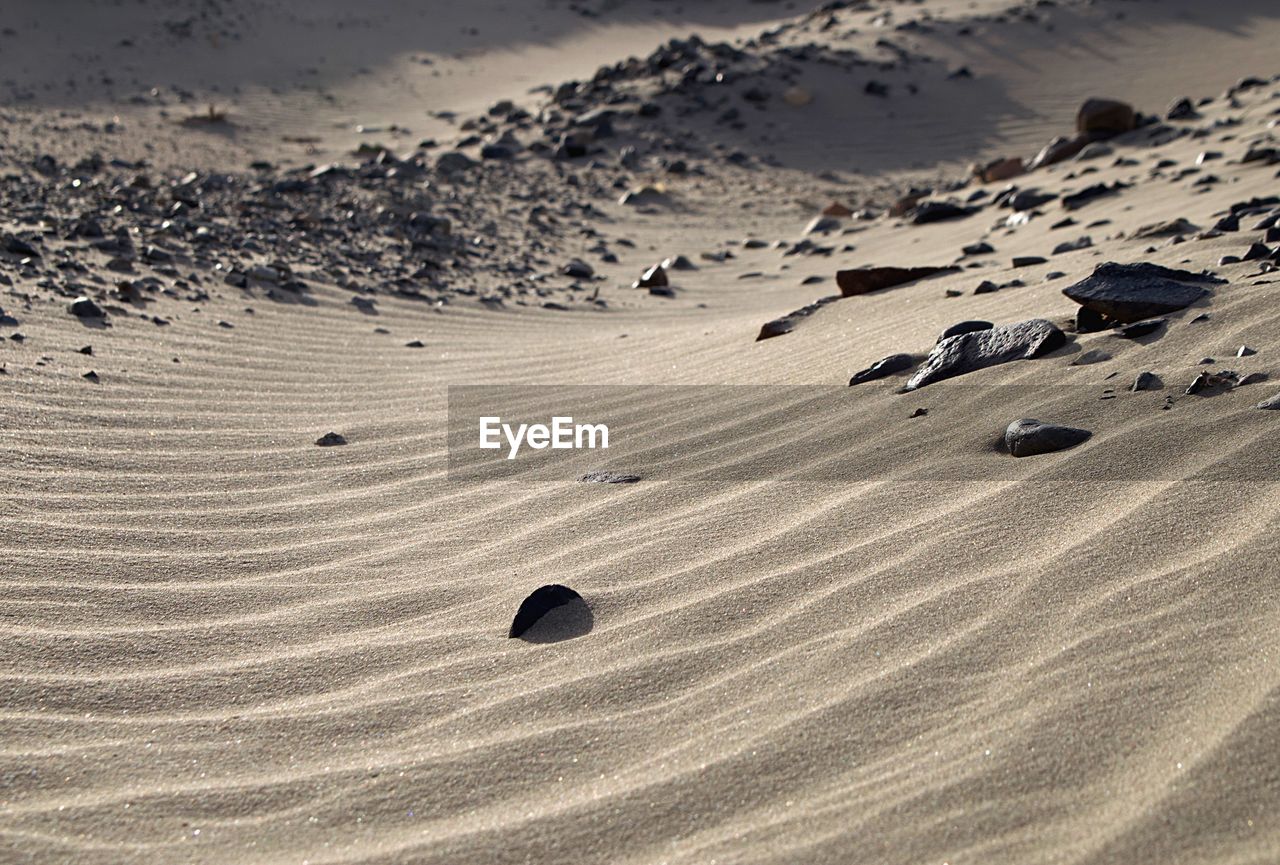 Scenic view of sand dune