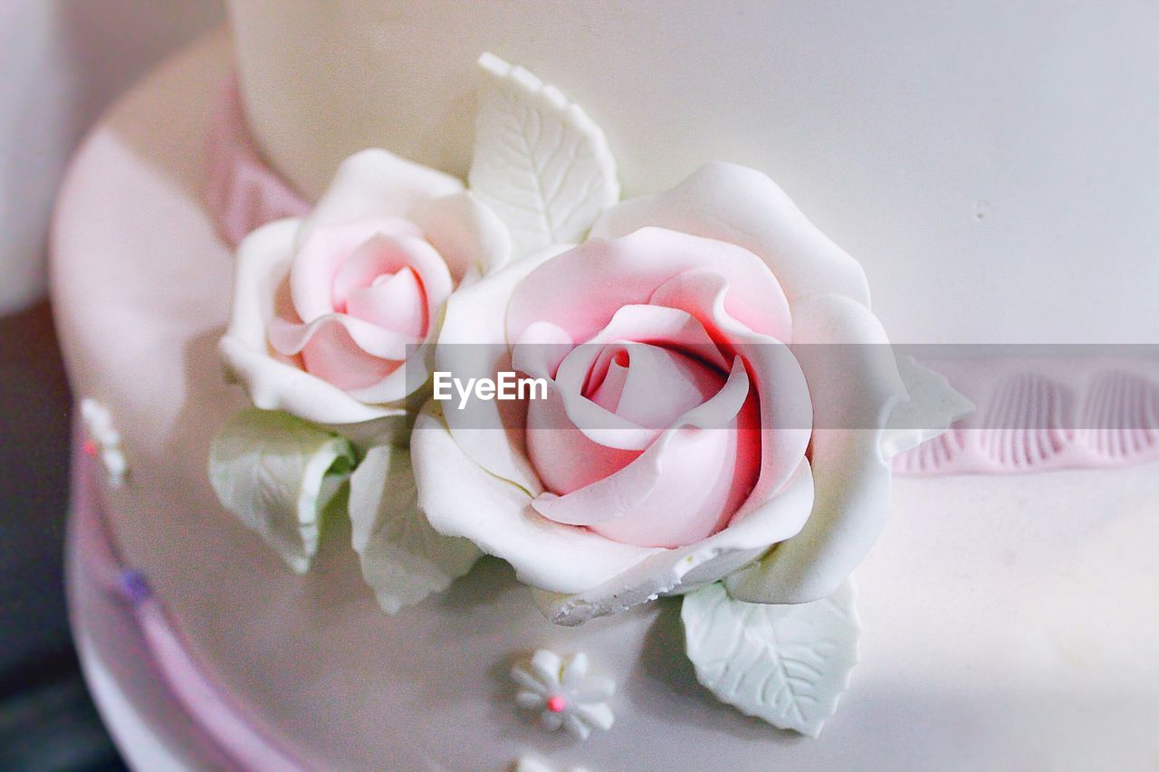 Close-up of chocolate flower icing on cake