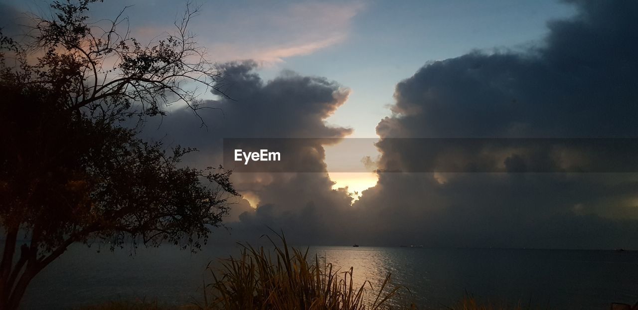 SILHOUETTE TREE BY SEA AGAINST SKY DURING SUNSET