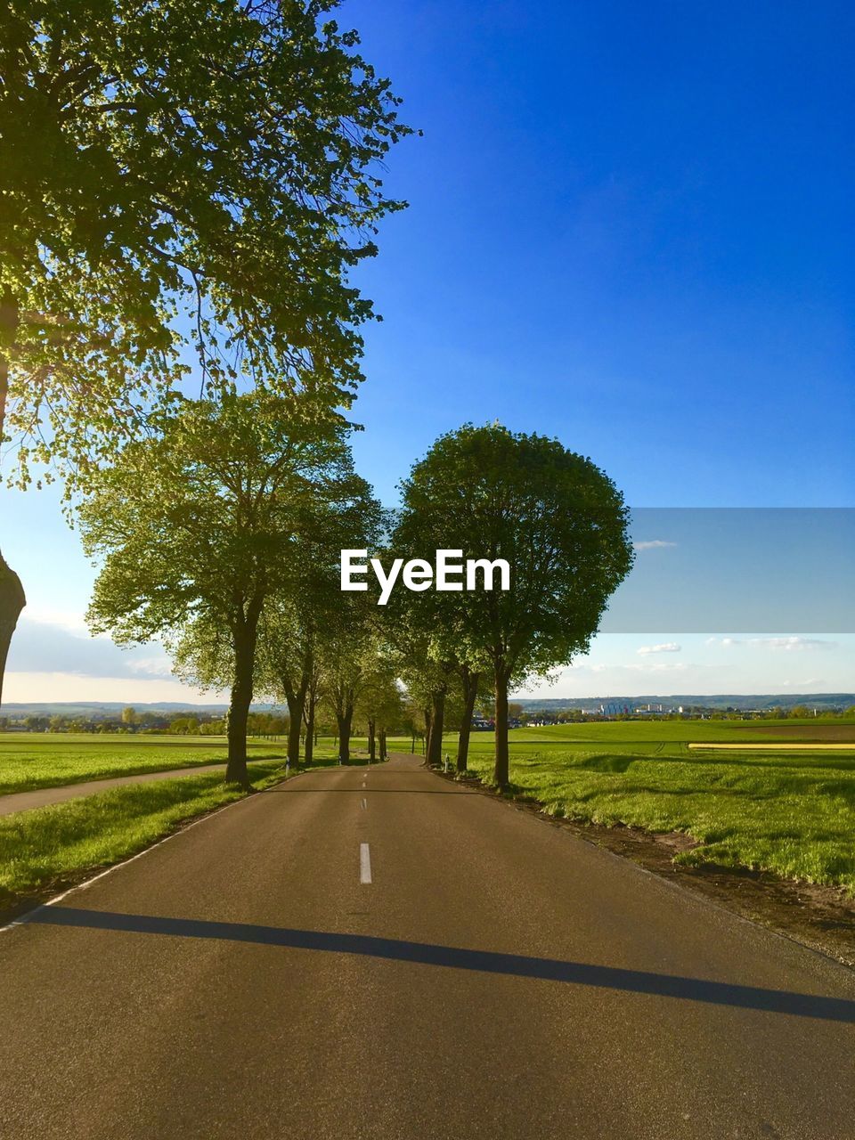 Road by trees on field against blue sky