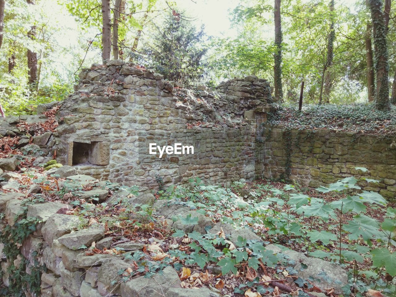 VIEW OF OLD STONE WALL