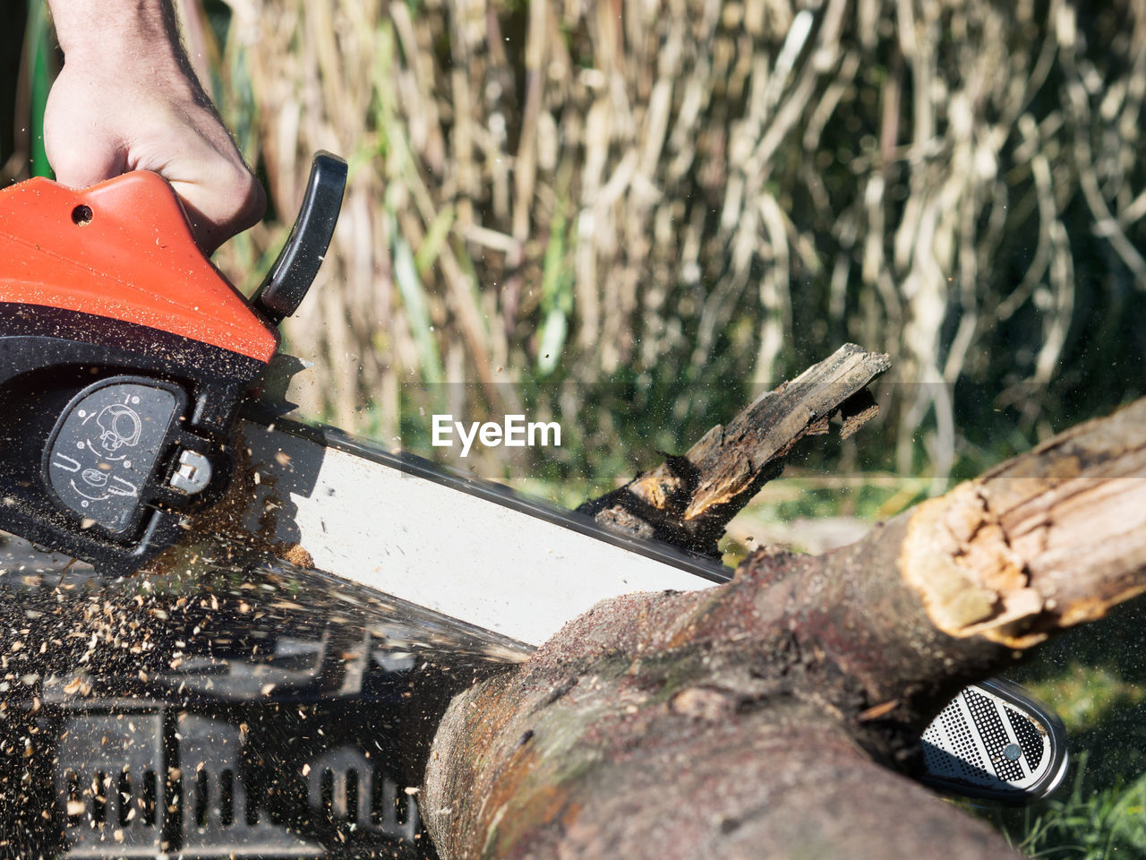 Cropped image of lumberjack cutting log with chainsaw