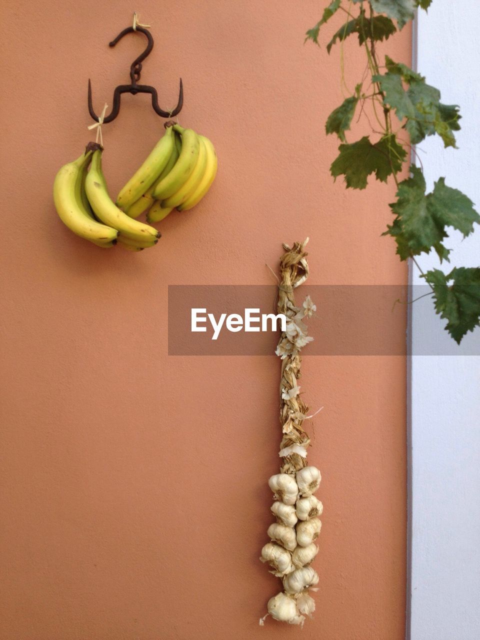 Garlic and bananas hanging on wall