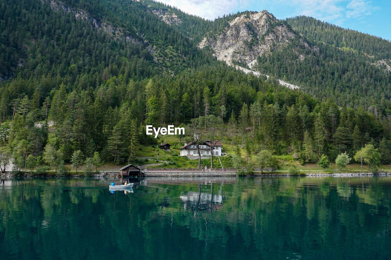 Scenic view of lake amidst trees in forest