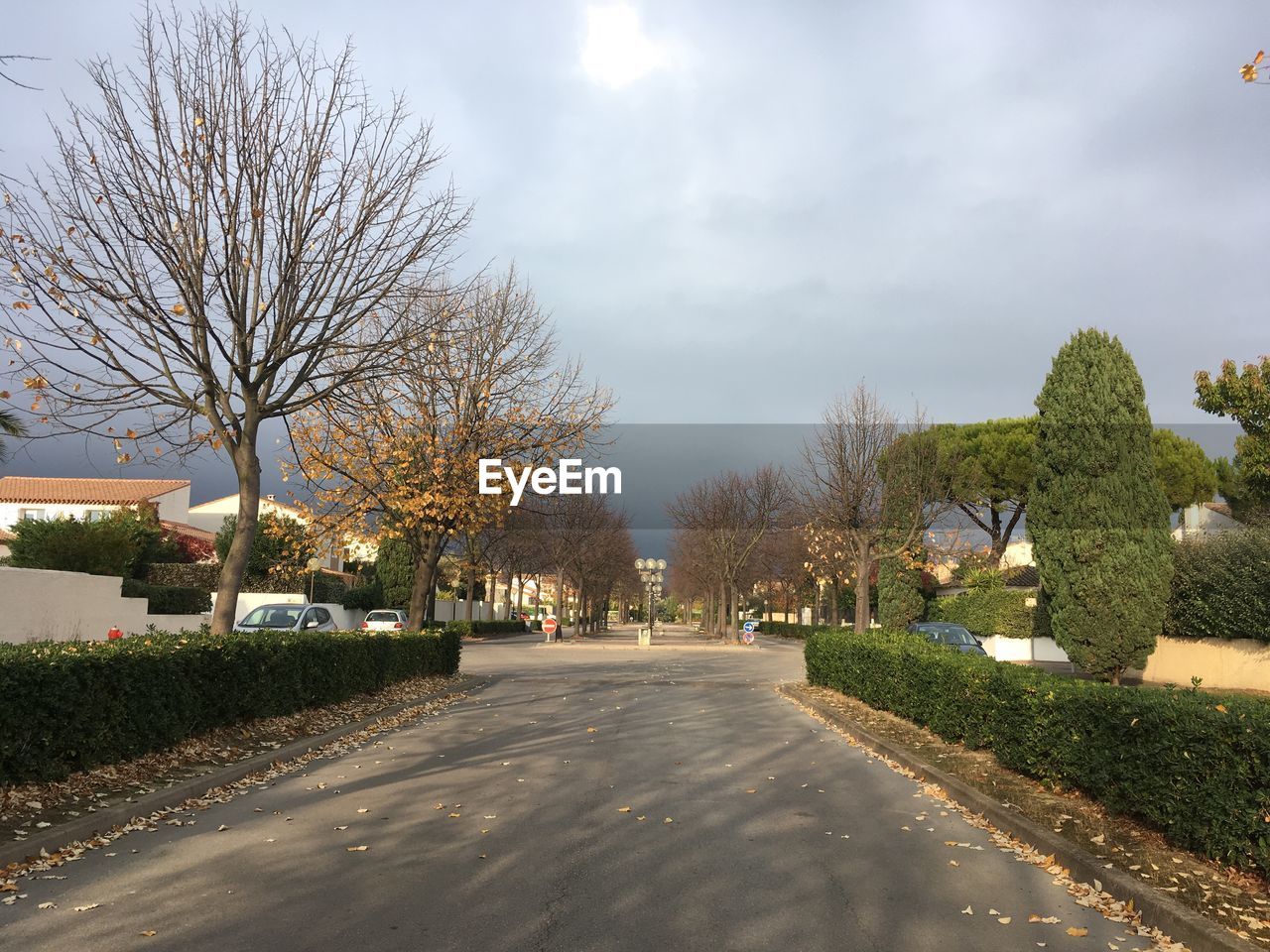 ROAD BY TREES AGAINST SKY IN CITY