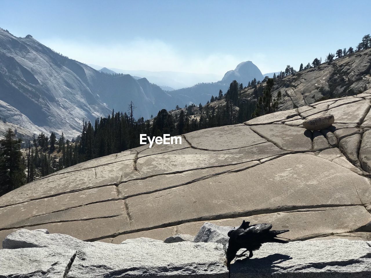 SCENIC VIEW OF MOUNTAIN AGAINST SKY