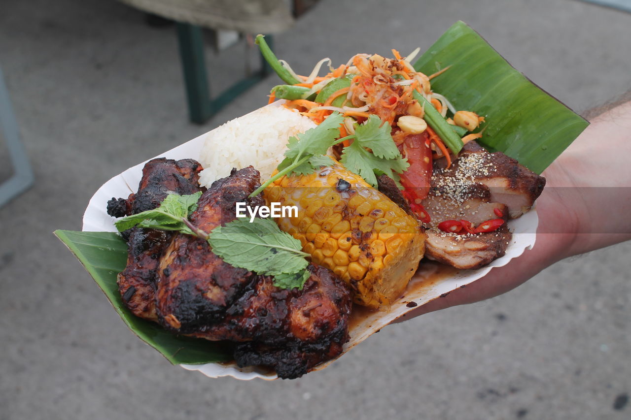 Close-up of hand holding served food in plate