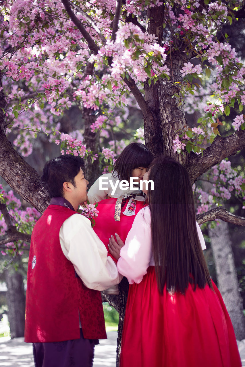 Korean family in national costumes in nature stands next to a cherry blossoming tree.