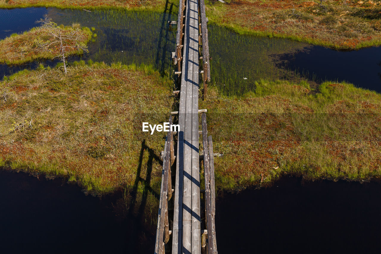 HIGH ANGLE VIEW OF TREES GROWING ON LAND