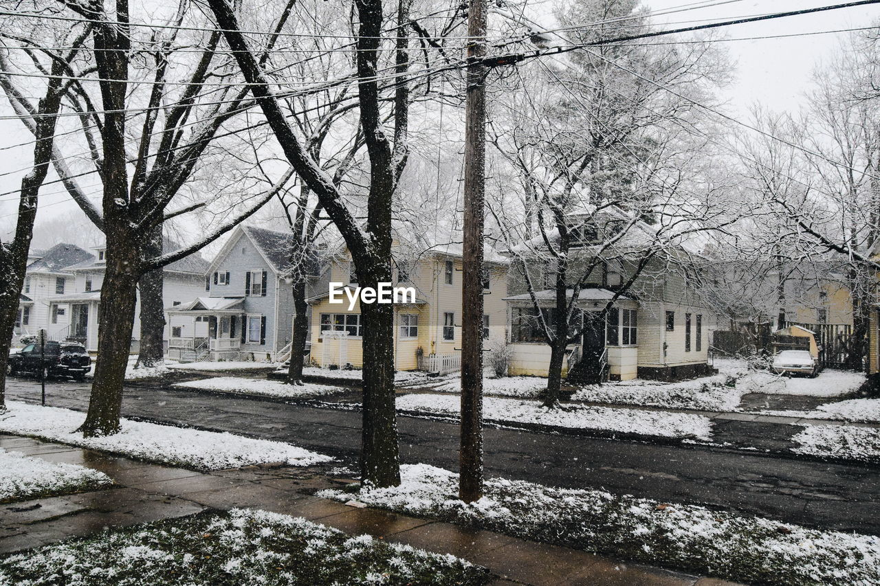 Snow covered trees in city