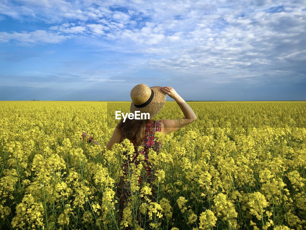 Rear view of woman wearing dress and hat in a field of canola flowers on a cloudy day