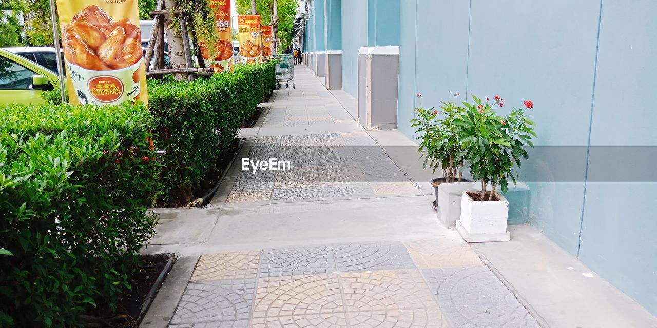 POTTED PLANTS OUTSIDE BUILDING