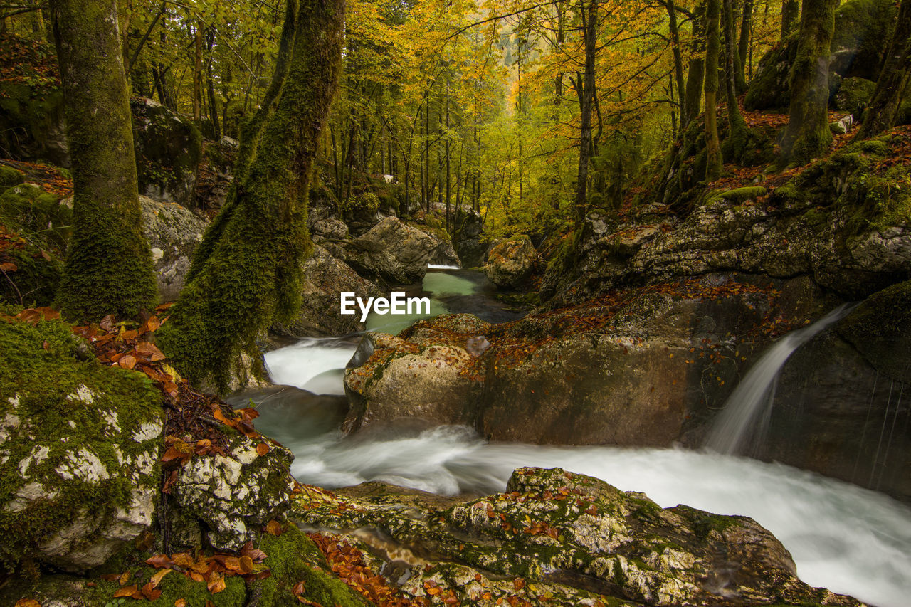Mountain river in autumn at triglav national park in slovenia with fall colors