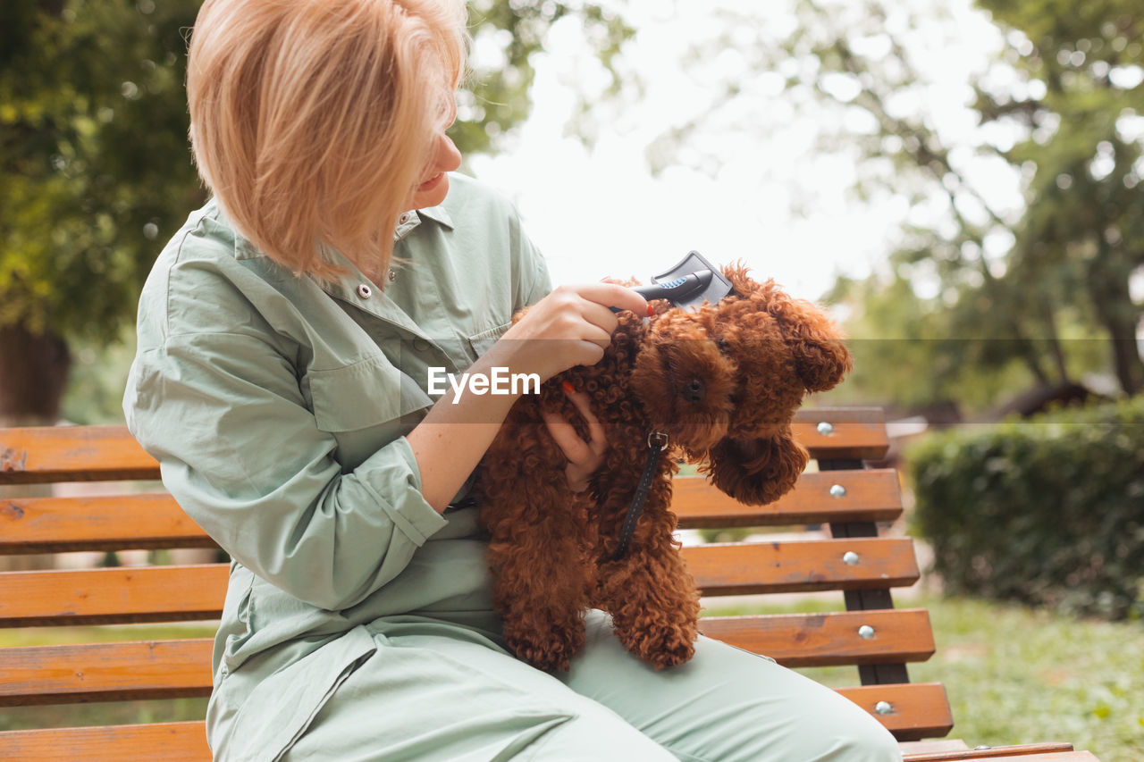 Rear view of woman with dog sitting on bench